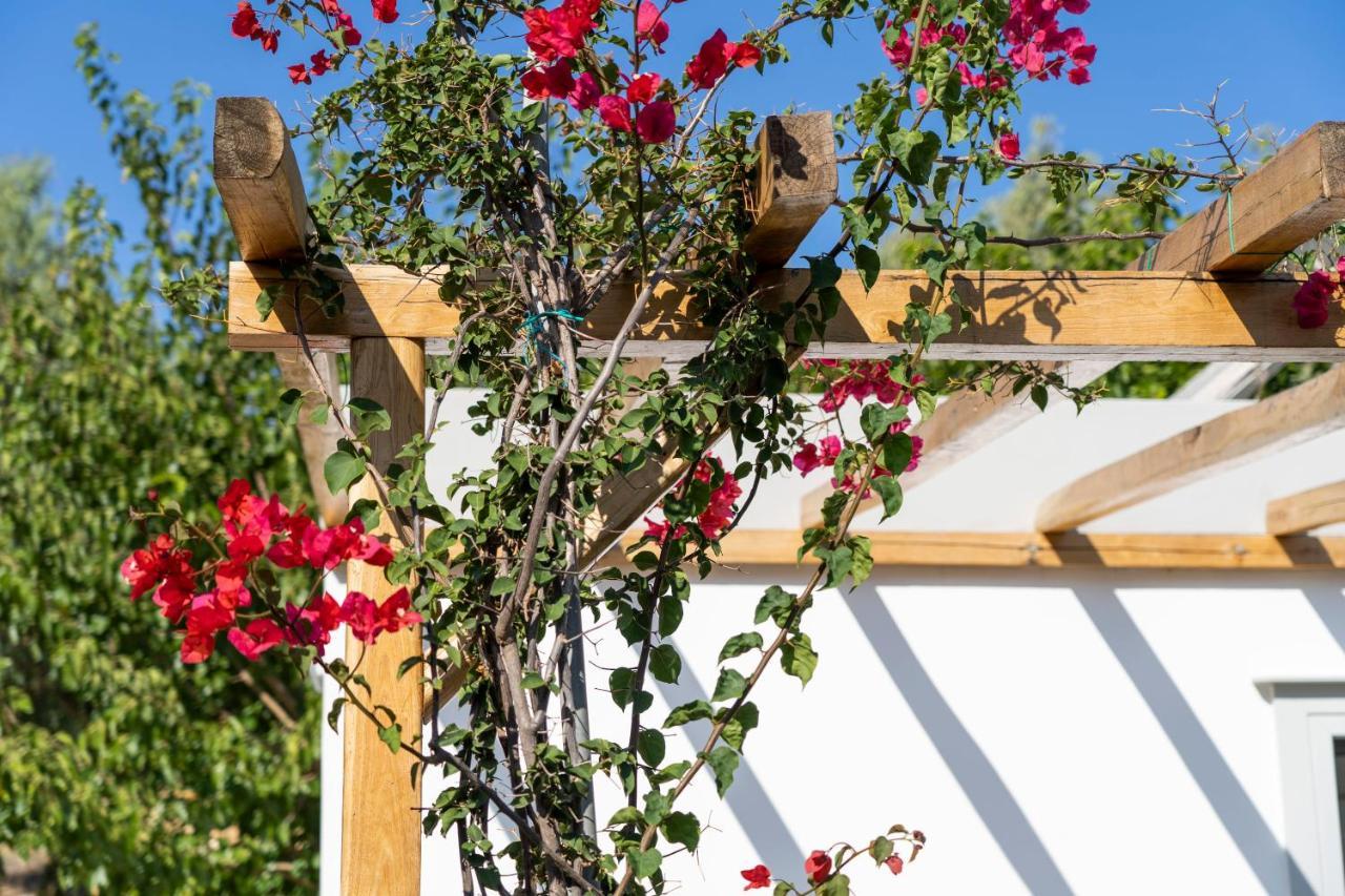 Anassa Cycladic Village Galissas Buitenkant foto