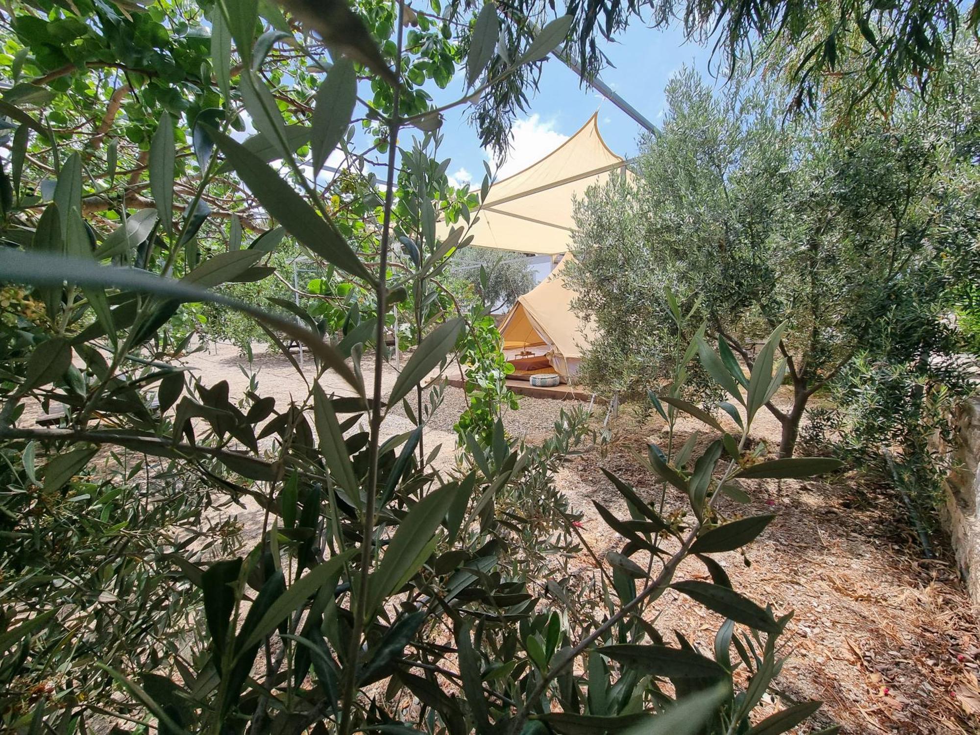 Anassa Cycladic Village Galissas Kamer foto